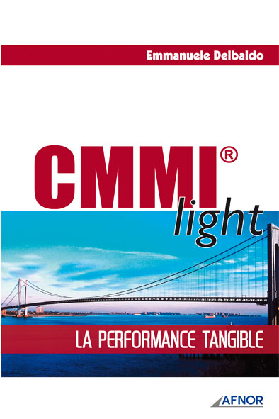 CMMI light - La performance tangible