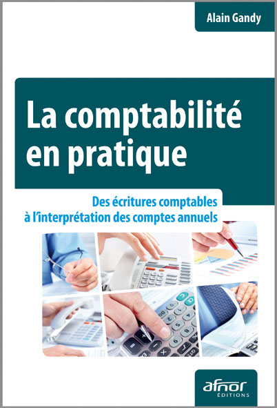 La comptabilité en pratique - Des écritures comptables à l'interprétation des comptes annuels