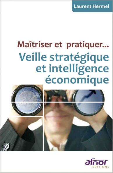 Maîtriser et pratiquer... Veille stratégique et intelligence économique